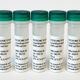 Lyophilized EVs from bacteria