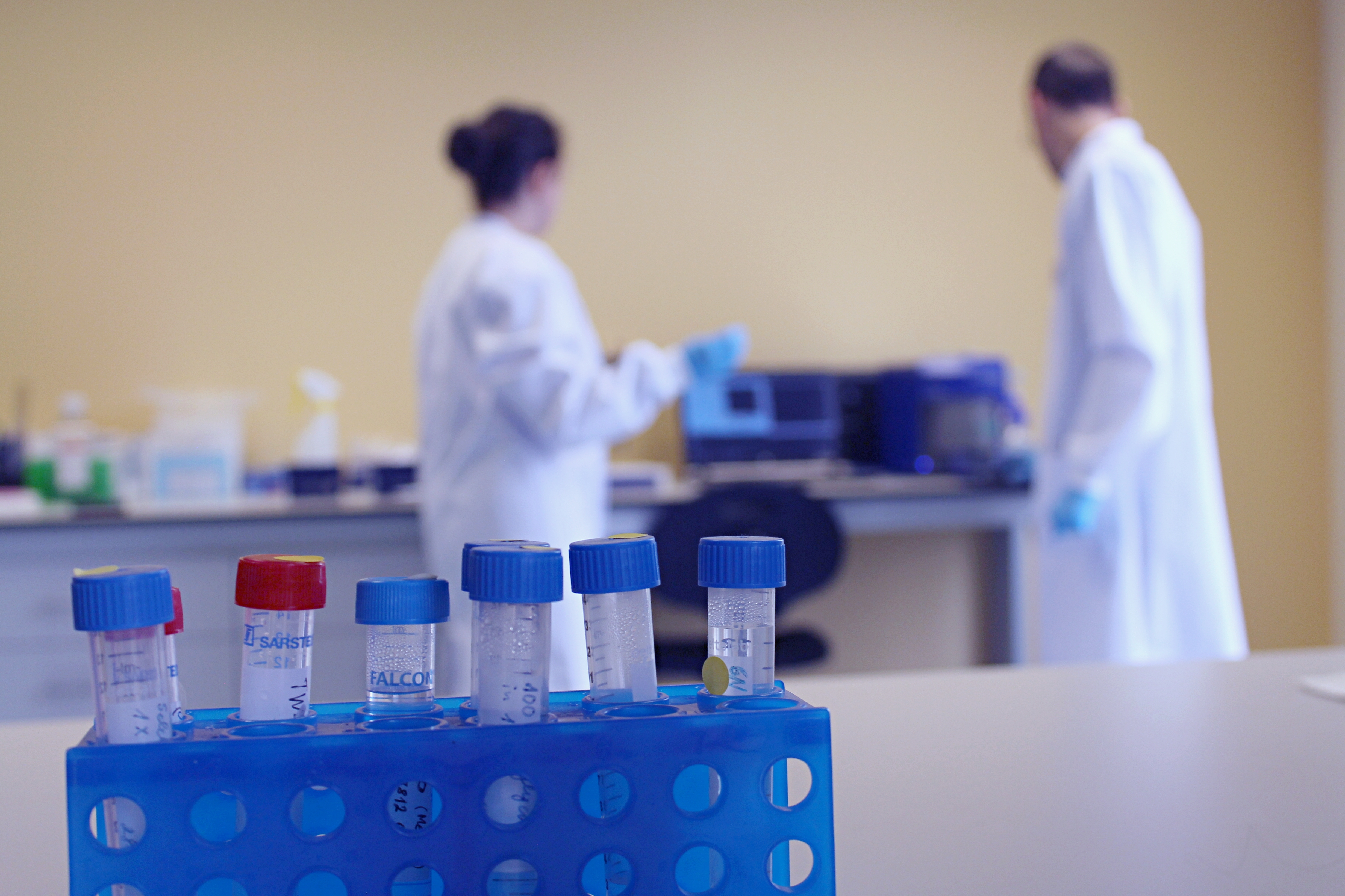 20 Years of EV Excellence