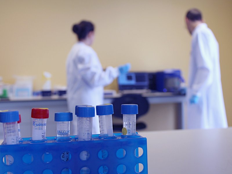 20 Years of EV Excellence