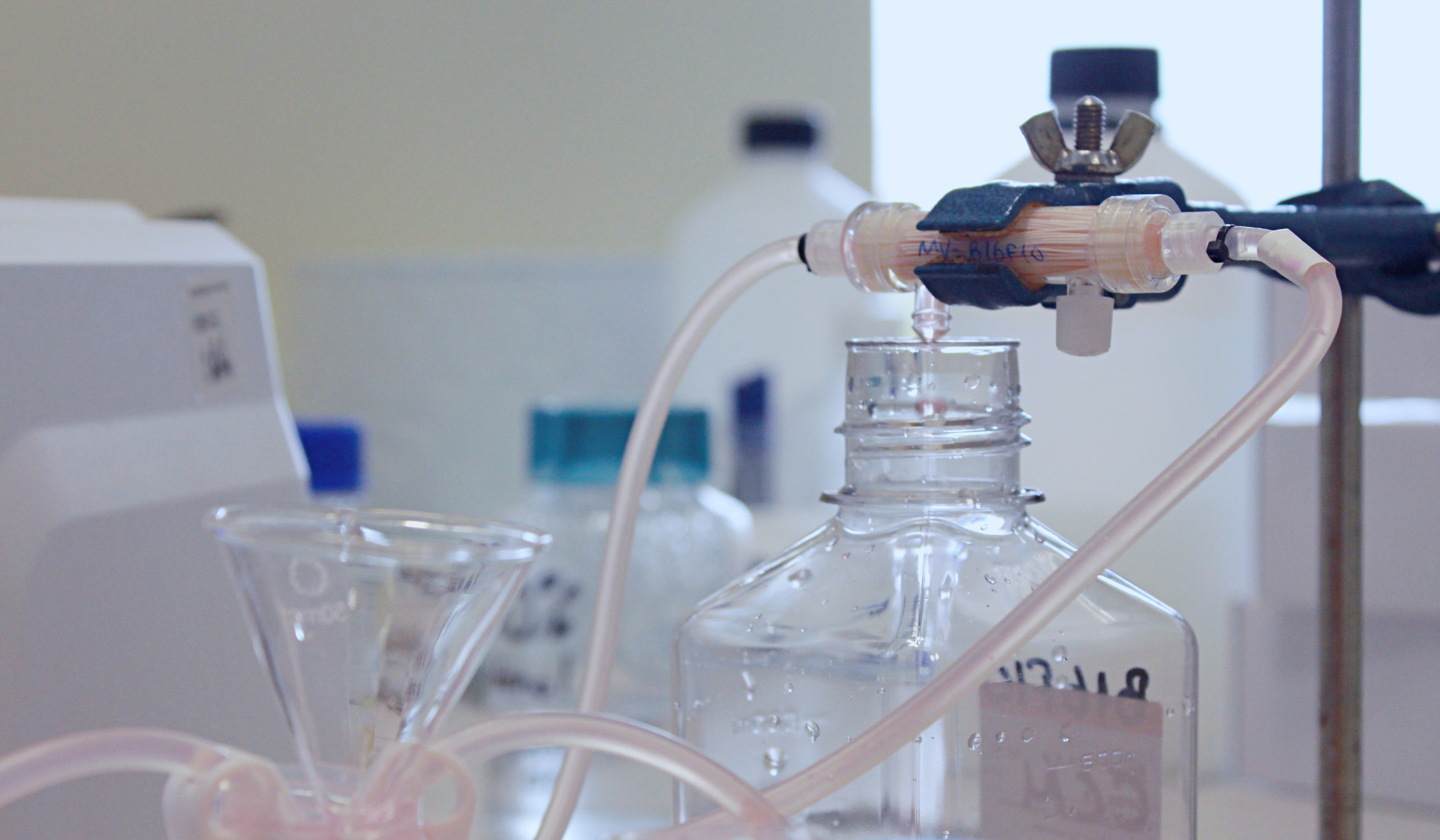 Purified Extracellular Vesicles