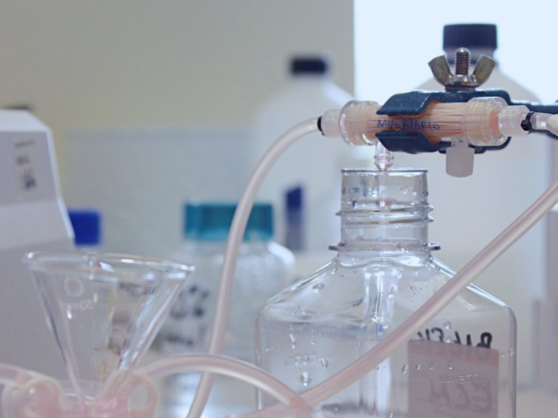 Purified Extracellular Vesicles