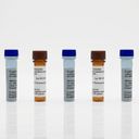  Fluorescent Labeled Exosome Standards