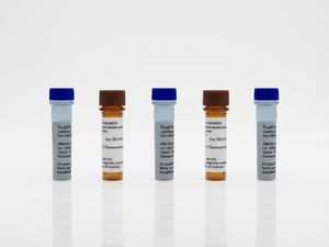  Fluorescent Labeled Exosome Standards