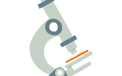 Physical - Chemical Characterization