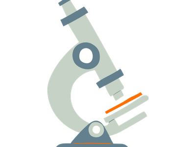 Physical - Chemical Characterization