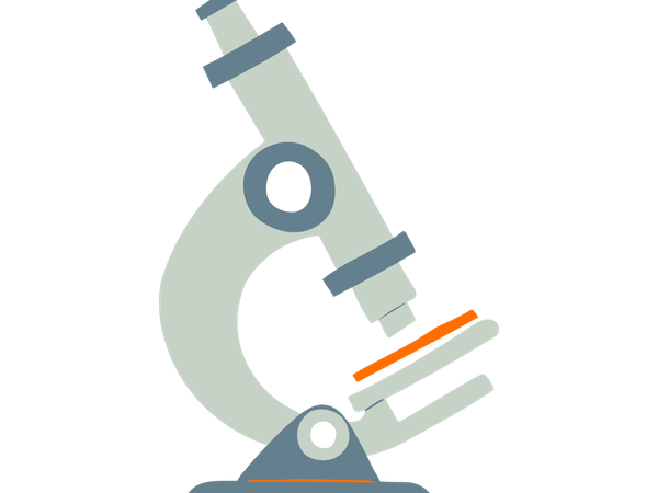 Physical - Chemical Characterization