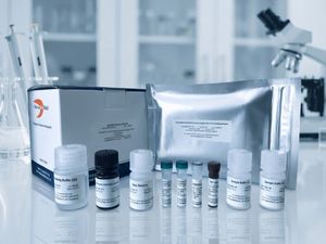 Exo-TEST: Ready to use ELISA Quantification Kits