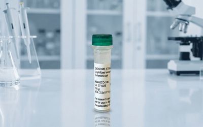 Lyophilized Bacterial EVs Derived from E. Coli (100µg vial)