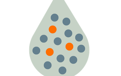 Small and Large EVs Purification