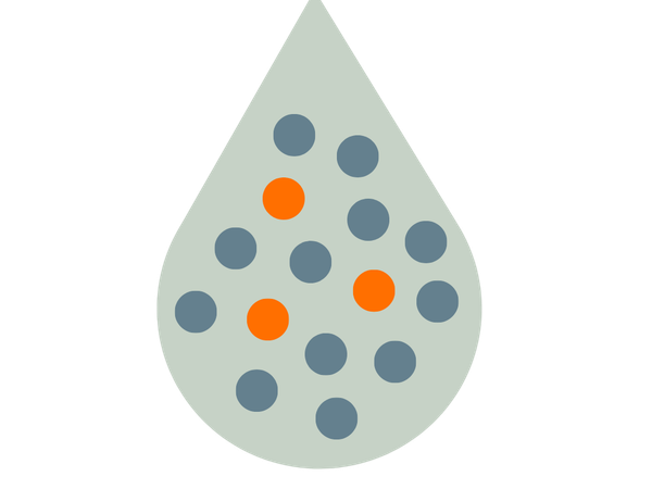 Small and Large EVs Purification