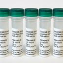 Fresh and frozen exosomes and microvesicles 