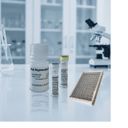 Immunoafffinity Isolation 