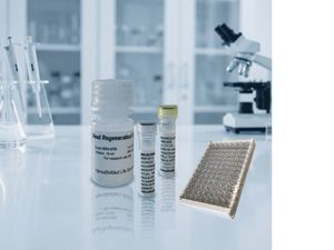 Immunoafffinity Isolation 